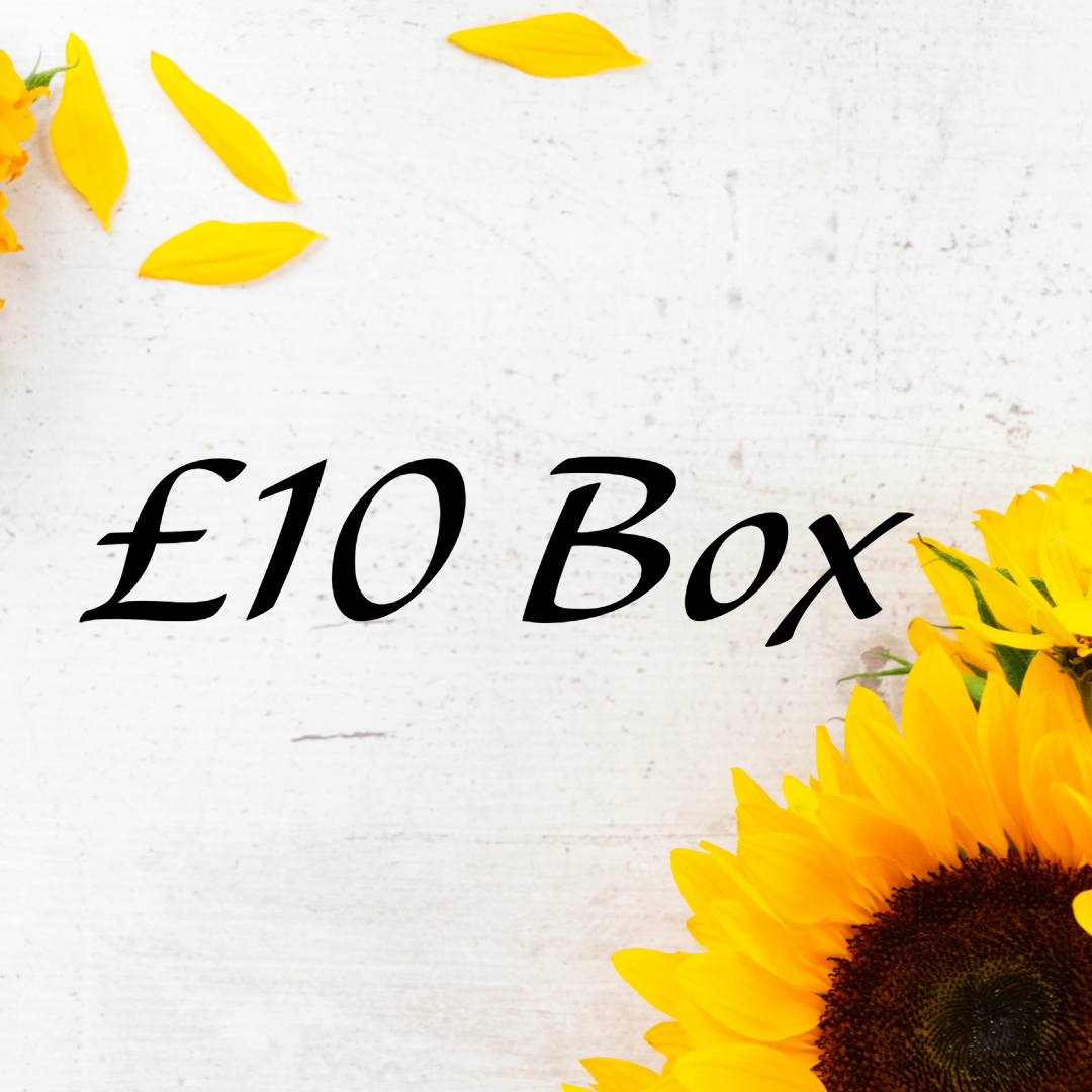 Mega Summer Sale Hair Accessory Mystery Box