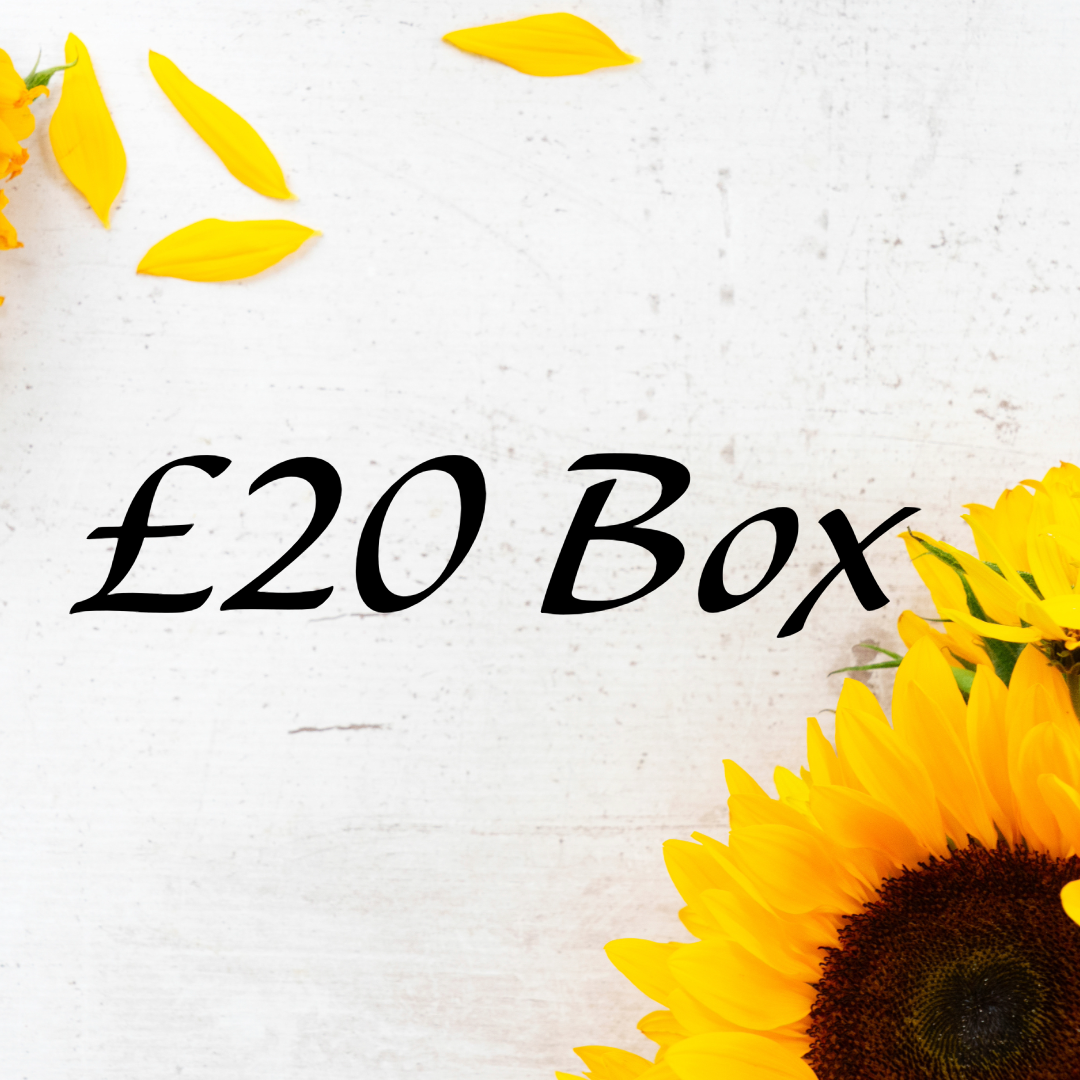 Mega Summer Sale Hair Accessory Mystery Box
