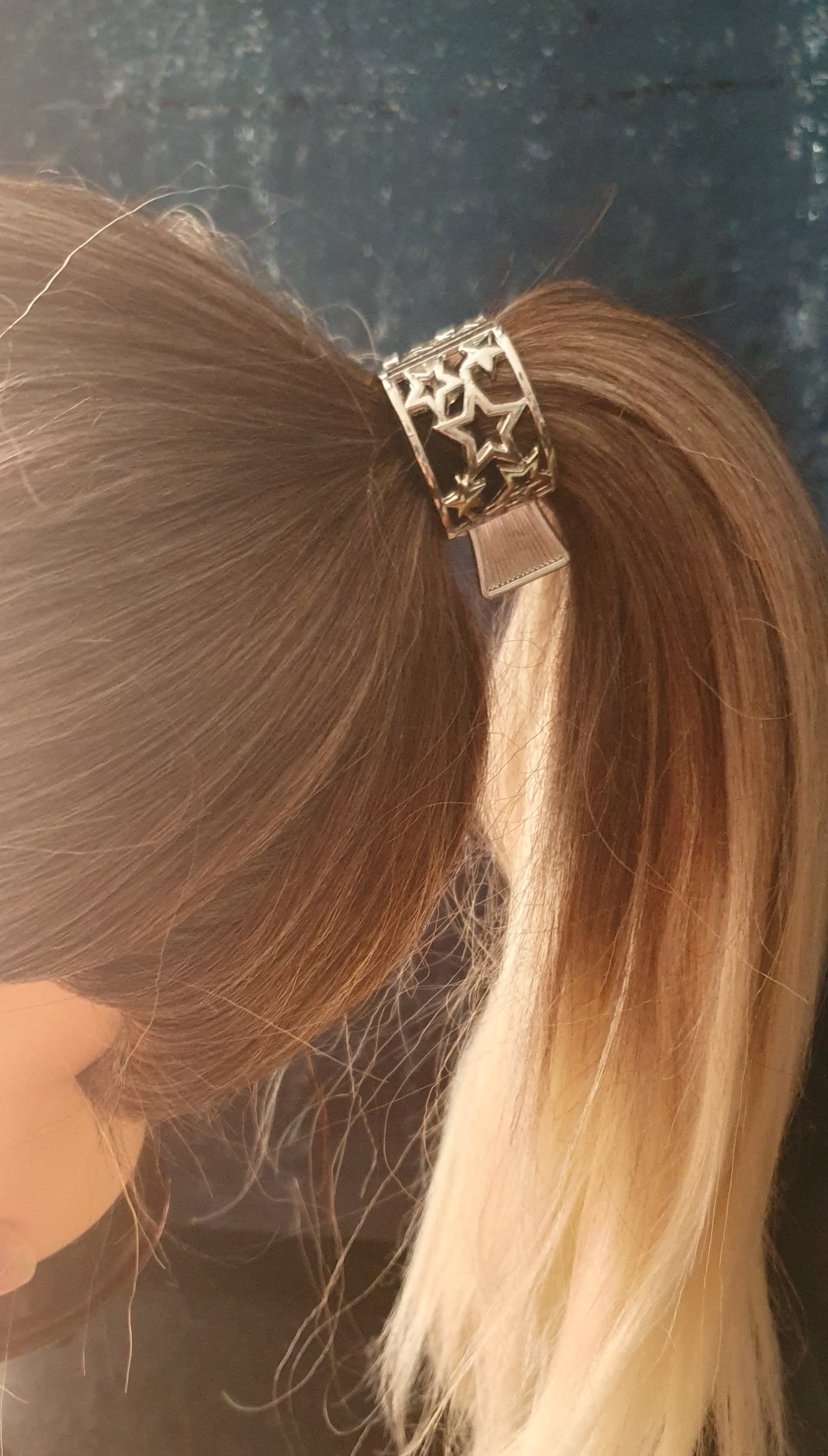 Ponytail hair clip