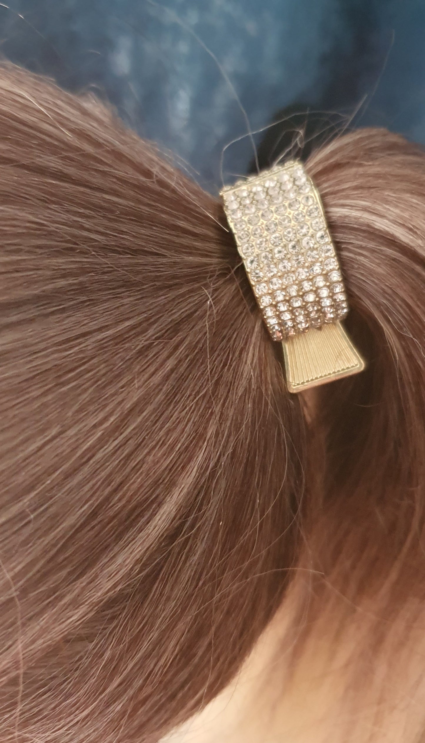 Ponytail hair clip