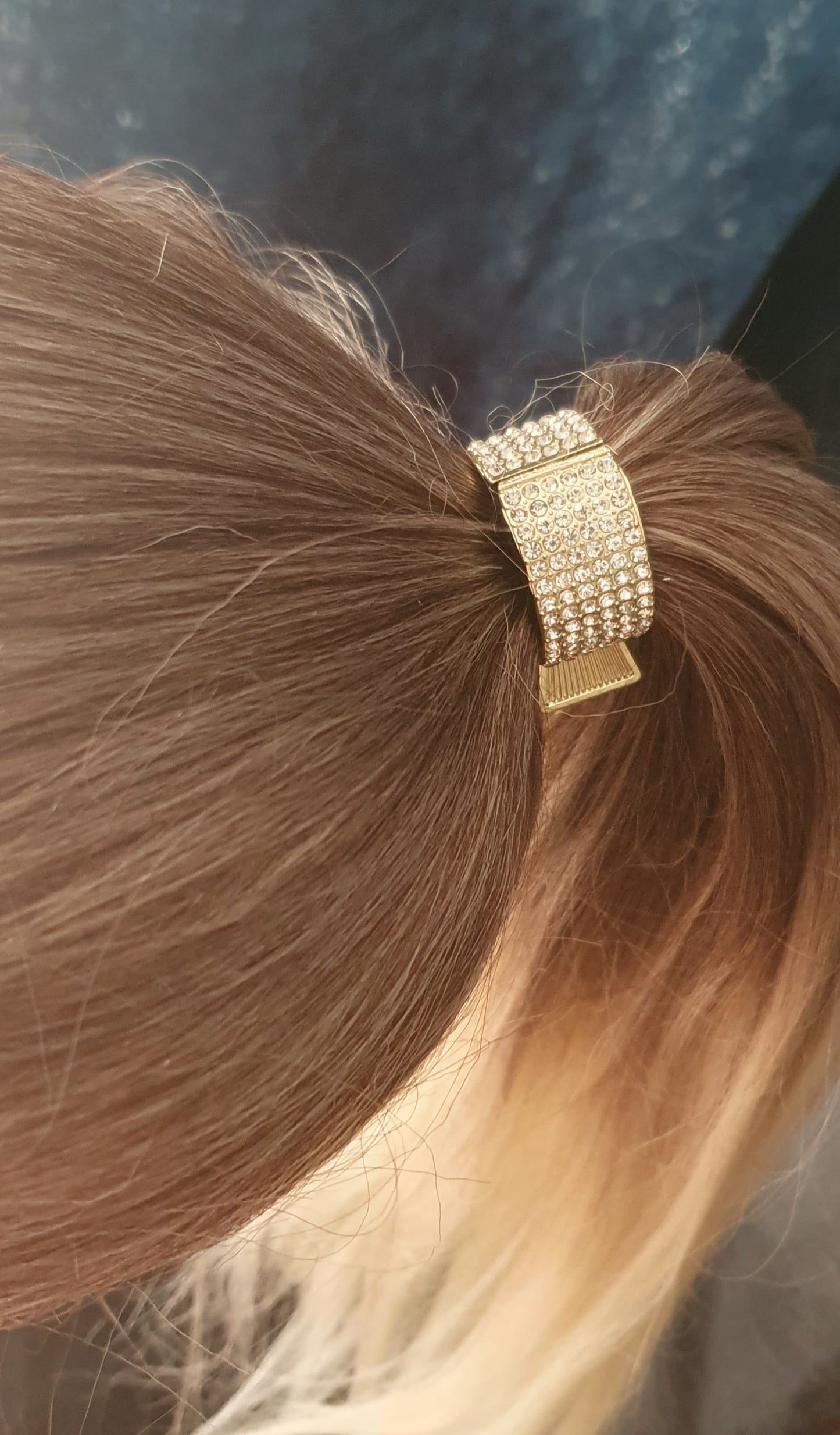 Ponytail hair clip