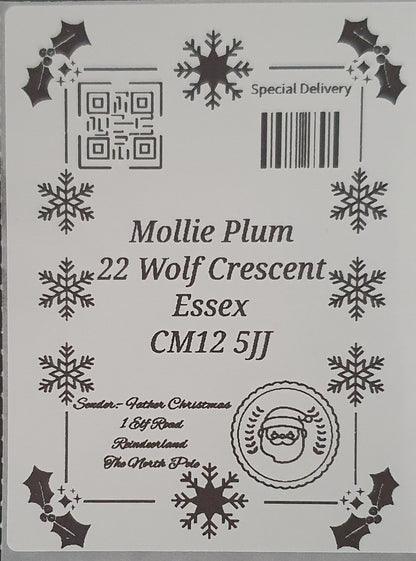 Special delivery postal labels from Father Christmas Santa Claus plain and printed