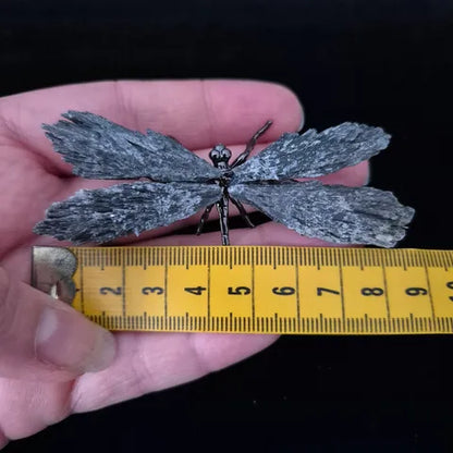 Black Tourmaline Dragonfly Sculpture