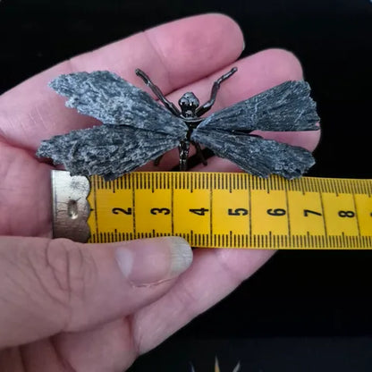 Black Tourmaline Dragonfly Sculpture
