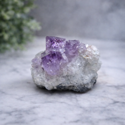 Amethyst Cluster Gemstone Crystal 70g