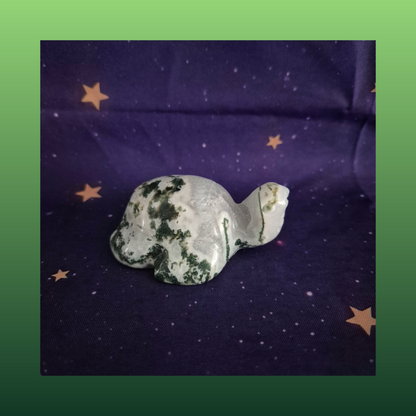 Druzy Moss Agate Turtle Carving – 140g
