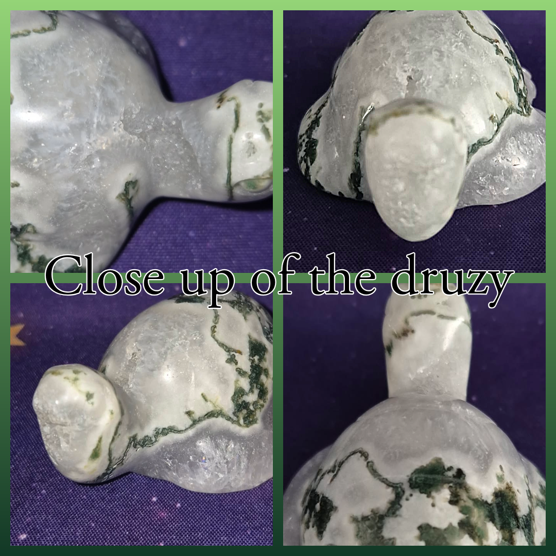 Druzy Moss Agate Turtle Carving – 140g