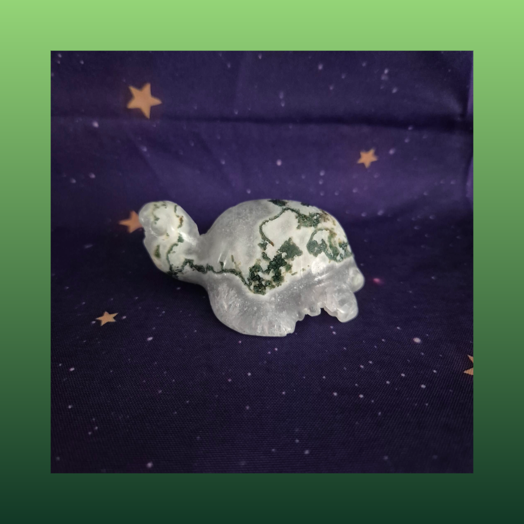 Druzy Moss Agate Turtle Carving – 140g