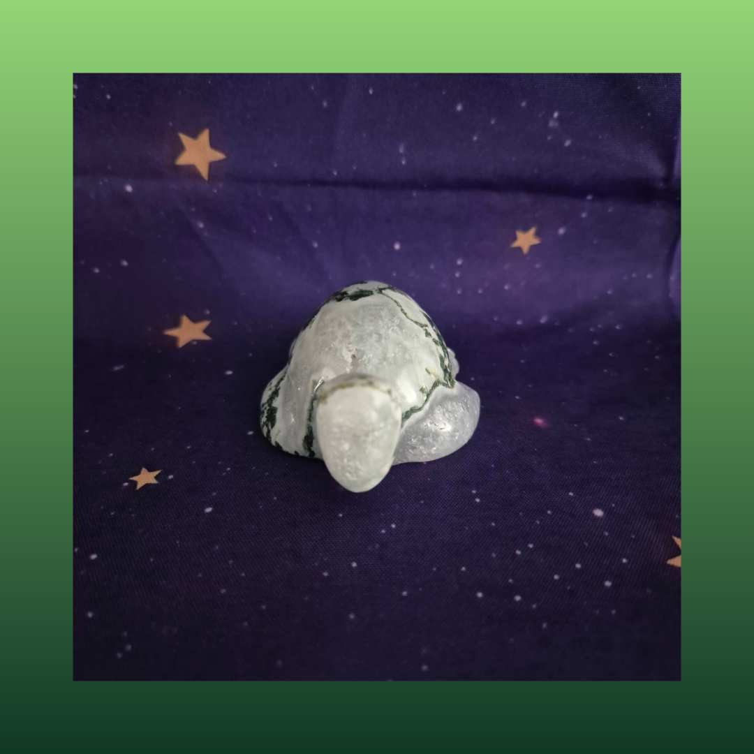 Druzy Moss Agate Turtle Carving – 140g