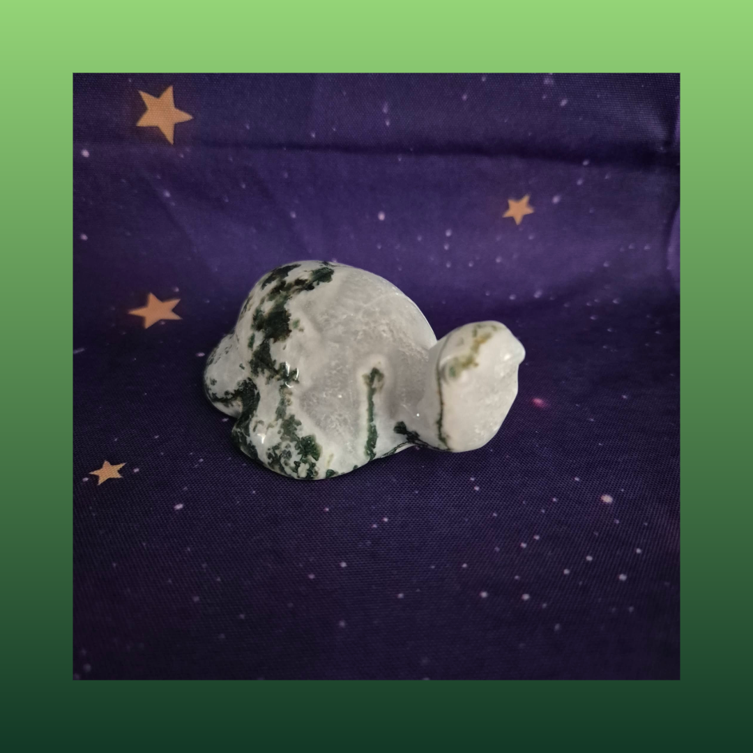 Druzy Moss Agate Turtle Carving – 140g