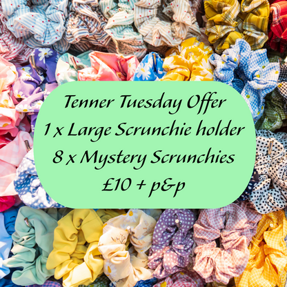 Tenner Tuesday Mystery box scrunchie holder and 8 mystery scrunchies