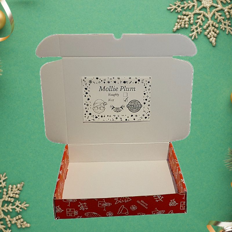 Christmas themed nice list gift from Santa Father Christmas hair accessory box