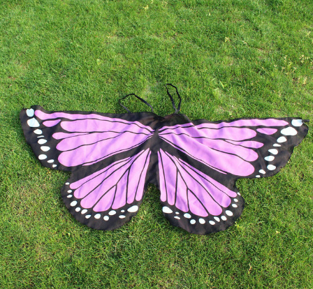 Kids Butterfly Wings For Fancy Dress Up Costume Party Pretend Play